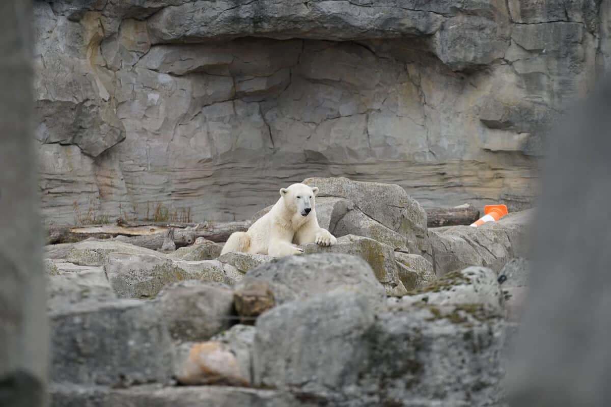 Zoo am Meer